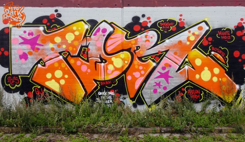 ★ TDR ★ by Gem 1 - The Dark Roses - Albertslund, Denmark July 2025